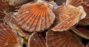 Lendemain de fêtes de fin d’année & recyclage ! Lendemain de fêtes de fin d’année & recyclage !