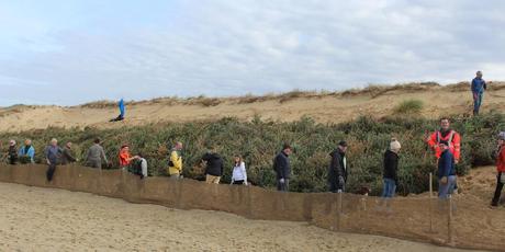 Lendemain de fêtes de fin d’année & recyclage ! crédit photo Michel Dupin