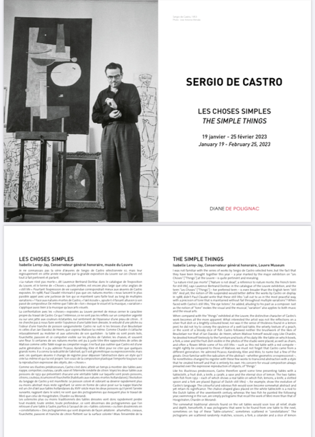 Galerie  Diane de Polignac – Sergio de Castro –  » Les choses simples » à partir du 19 Janvier 2023.