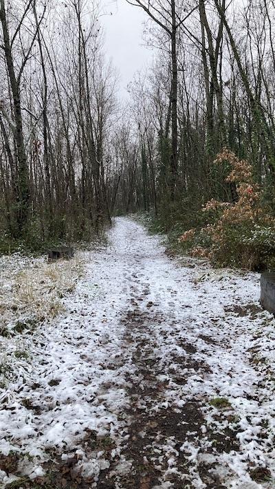 Quelques flocons et puis s’en vont Quelques flocons et puis s’en vont