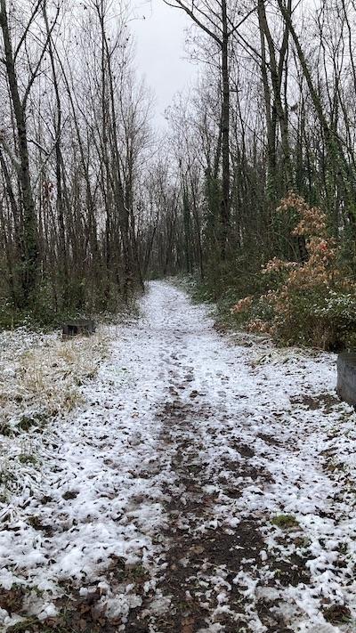 Quelques flocons et puis s’en vont