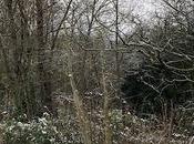 Quelques flocons puis s’en vont