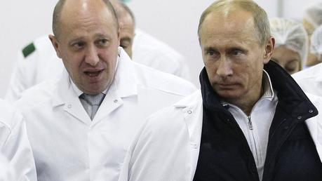 Huskys Louches & Lapins Russes