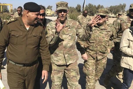 Huskys Louches & Lapins Russes