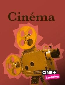 CINÉMA : Alexandre Arcady, Une Histoire De Cinéma