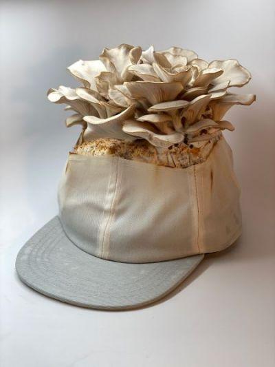 Chapeaux recyclés de Brian Downey