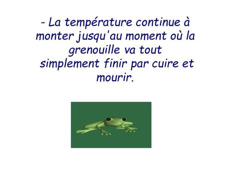 Divers - La cuisson de la grenouille