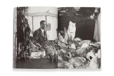 DAVID THOMSON – DRY HOLE