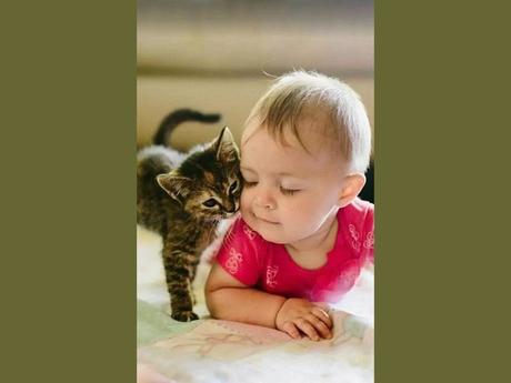 Divers - un peu de douceur sur cette planète