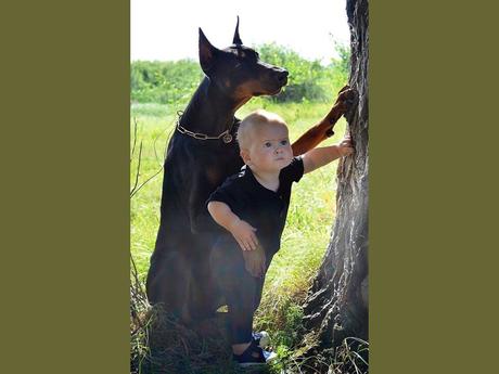 Divers - un peu de douceur sur cette planète