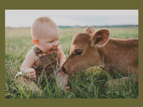 Divers - un peu de douceur sur cette planète