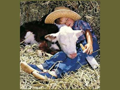 Divers - un peu de douceur sur cette planète