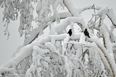 Joyeux Nouvel An chinois 2023 Joyeux Nouvel An chinois 2023