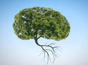 POLLUTION l’air, pollution cognition