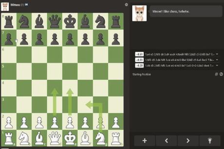 Le succès du chat Mittens de Chess.com