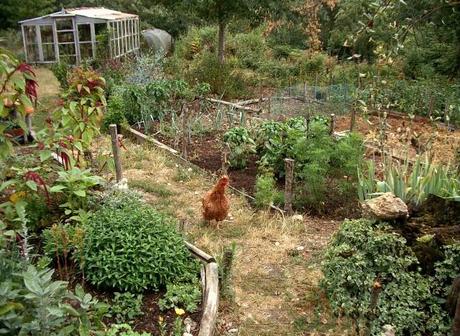 Les avantages et inconvénients de la culture sur sol vivant : comment jardiner de manière durable