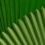 Pleats : le tabouret d’extérieur inspiré des feuilles de palmier
