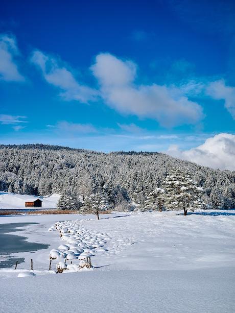35 Bilder Schnee über Buckelwiesen und Schmallensee — Eine Fotoreportage von Marco Pohle