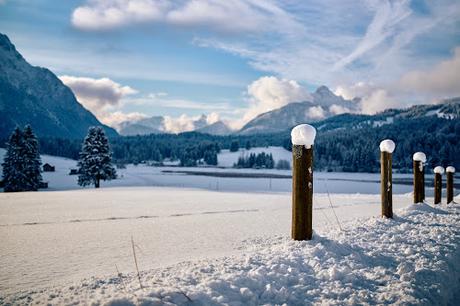 35 Bilder Schnee über Buckelwiesen und Schmallensee — Eine Fotoreportage von Marco Pohle