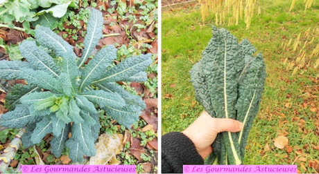Crumble de noix à la courge, aux lentilles et au chou (Vegan) Crumble de noix à la courge, aux lentilles et au chou (Vegan)