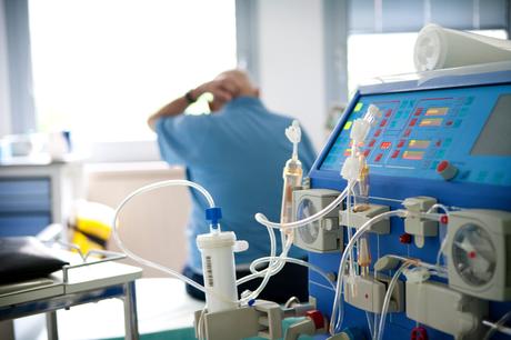 Comprendre la biologie de la polykystose rénale (polycystic kidney disease : PKD), une maladie génétique souvent mortelle qui affecte des millions de personnes dans le monde (Visuel Adobe Stock 499002849) Comprendre la biologie de la polykystose rénale (polycystic kidney disease : PKD), une maladie génétique souvent mortelle qui affecte des millions de personnes dans le monde (Visuel Adobe Stock 499002849)