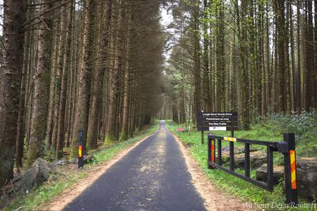 Lough Navar Forest Road