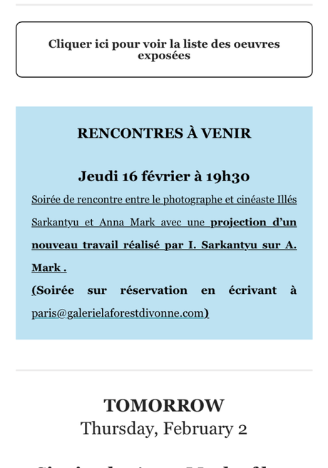 Galerie La Forest Divonne  « Anna Mark  » morceaux choisis – jusqu’au 25 Février 2023.