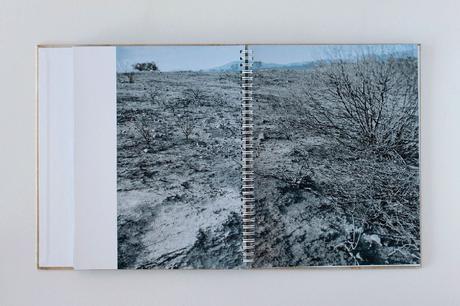 JASON REIMER – EXCAVATION: A JOURNEY THROUGH LOSS