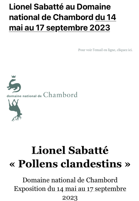 Domaine de Chambord « Lionel Sabatté – Pollens clandestins – 14 Mai au 17 Septembre 2023.