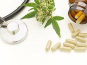 CANNABIS MÉDICAL substitut opioïdes dans gestion douleur chronique