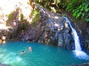 suis jaloux recueil poésie!