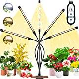 Garpsen Lampe Horticole Led, 5 Heads Lampe pour Plantes Interieur, 105 LEDs Chronométrage AUTO - ON/OFF Spectre Complet Lampe de Croissance pour Semis, Succulentes, Orchidee
