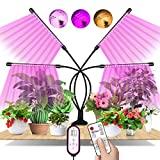 Lampe de Plante, EWEIMA 80 LEDs Lampe de Croissance à 360° Éclairage Horticole Avec, Lampe Pour Plante 4 Têtes Lampe Croissance Spectre Complet Avec Chronométrage AUTO - ON / OFF 4H / 8H / 12H