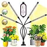 Garpsen Lampe pour Plantes, Nouvelle 80 LEDs 4 Heads Lampe de Croissance, Chronométrage AUTO - ON/OFF Lampe Led Horticole pour Semis, Succulentes, Orchidee(660nm/3000K/5000K)