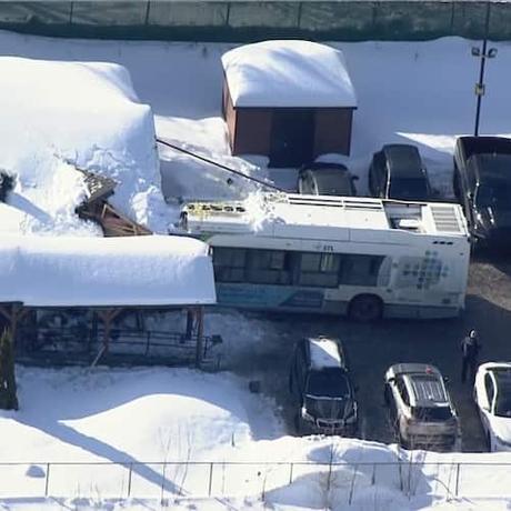 Pas Les Fusils des États-Unis, Mais Les Mâles d'Amérique