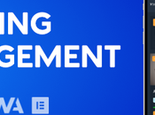 Système gestion l’apprentissage WPLMS pour WordPress, WordPress