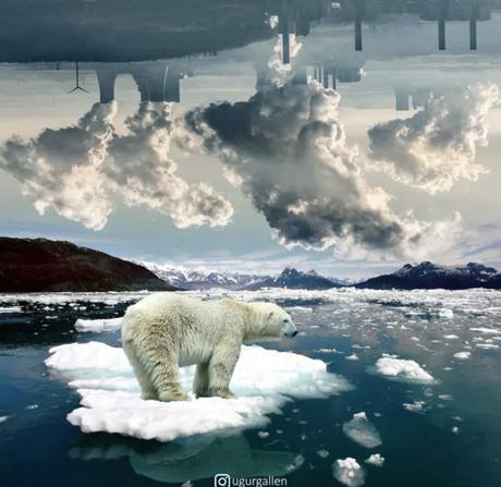 Connaissez-vous Uğur Gallenkuş  ?