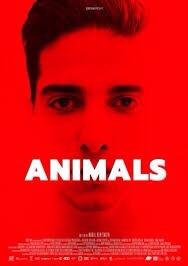 CINÉMA : Animals le film choc de Nabil Ben Yadir CINÉMA : Animals le film choc de Nabil Ben Yadir