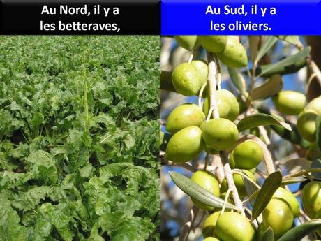 La France - Etes-vous Nordistes ou Etes vous Sudistes - 2