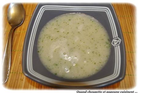 BOUILLON DE VOLAILLE AU TAPIOCA soupe au tapioca-3717