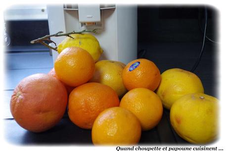 jus de fruits pamplemousse, orange et citron maison-6364