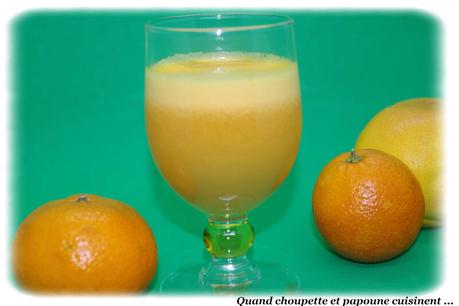 JUS DE FRUITS PAMPLEMOUSSE, ORANGE ET CITRON MAISON jus de fruits pamplemousse, orange et citron maison-6372