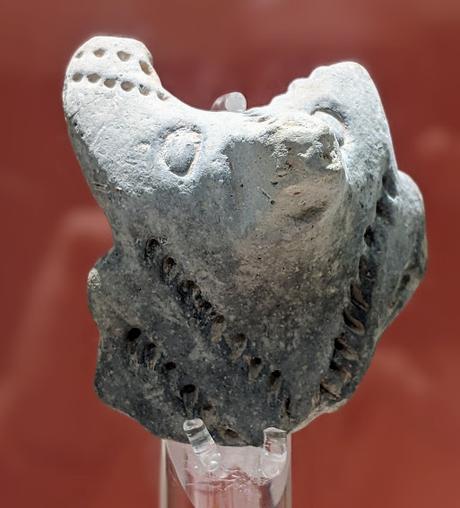 La sculpture néolithique maltaise — Reportage photos au musée archéologique de La Valette