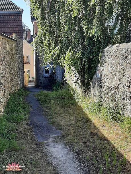 20220807_173401  BIS