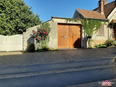 20220807_173628  BIS