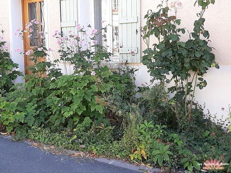 20220807_171201  BIS