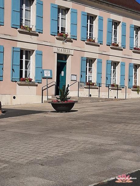 20220807_171144  BIS