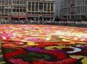 Tapis fleurs Bruxelles pour week-end août