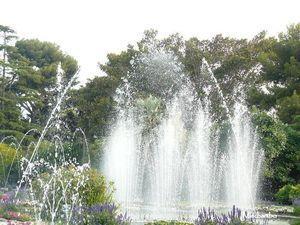 Gâteau aux Pêches et Amandes, Féerie des eaux 9