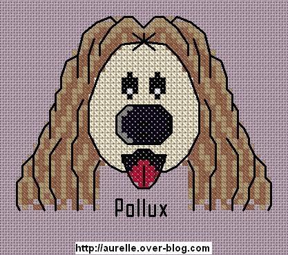 C'est moi pollux !